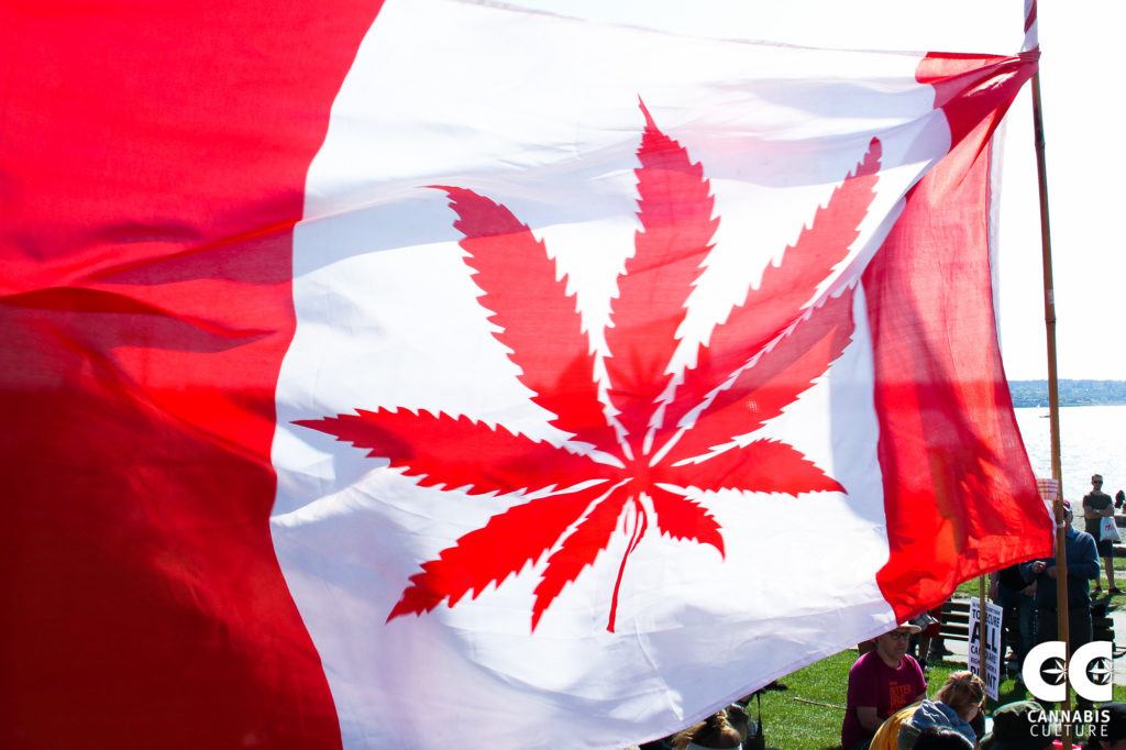 Canada now has 2 years of legal cannabis under its belt. What does the future hold?