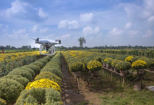 AgTech innovations are the future of agriculture